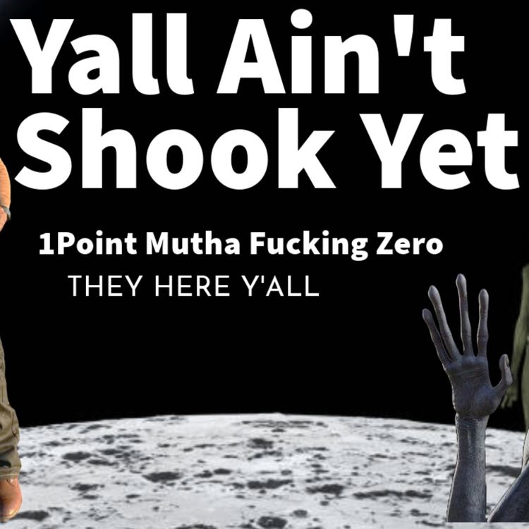 cover art for You Aint Shook Yet?