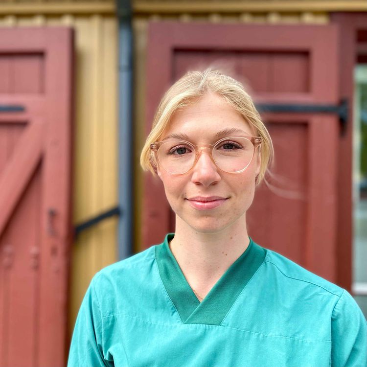 cover art for Systemet är riggat - att hitta balansen i en krävande vardag 