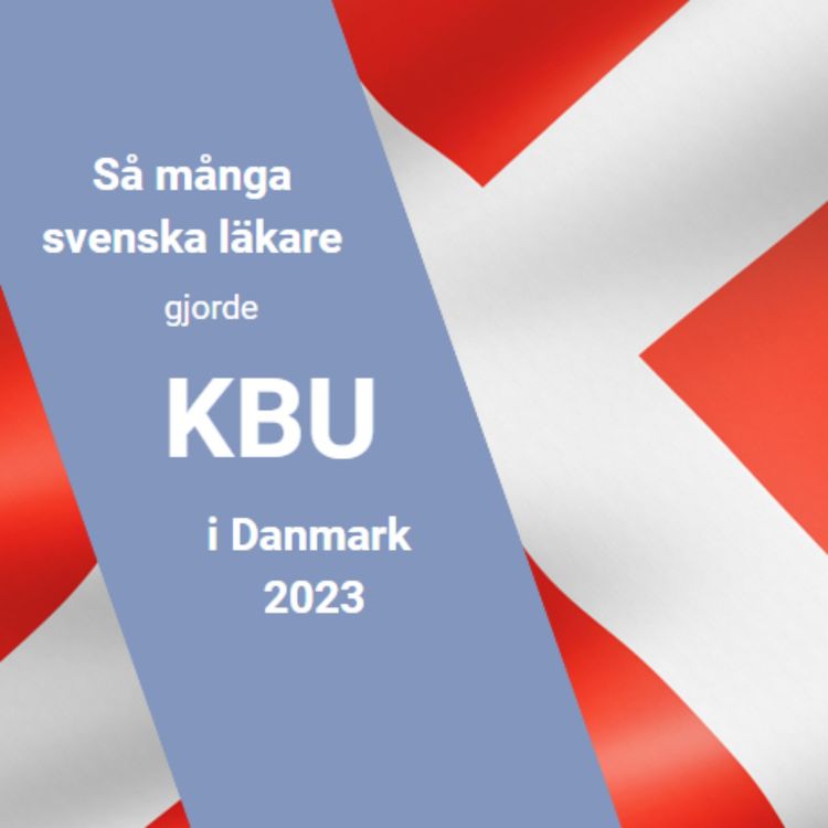 cover art for Att legitimera och specialisera sig i Norden