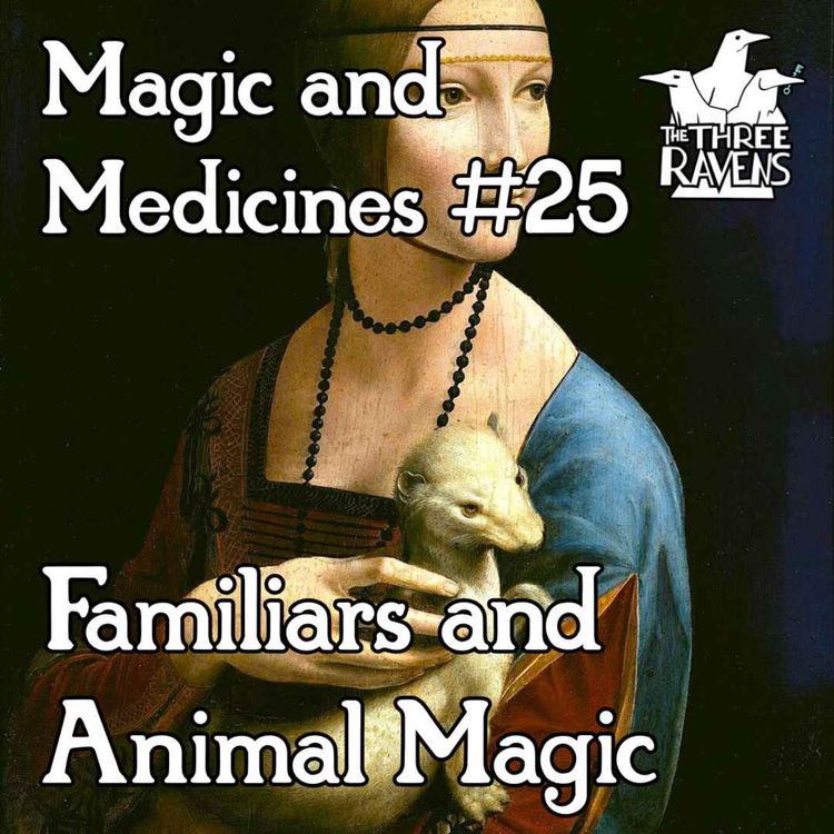 cover art for Magic and Medicines #25: Familiars and Animal Magic