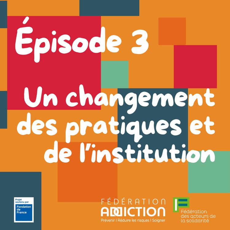 cover art for Épisode 3 : Un changement des pratiques et de l’institution 