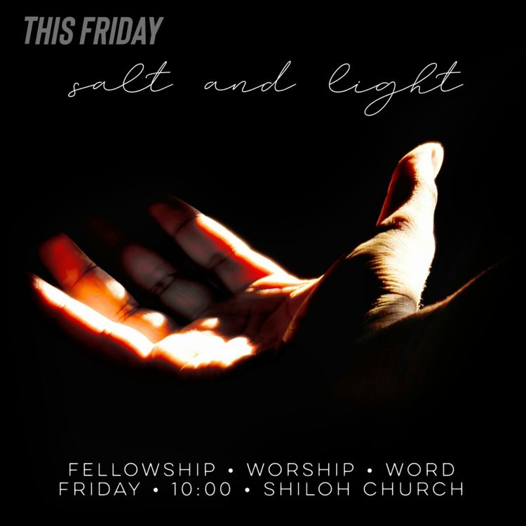 cover art for Salt and Light (Ray Booysen)