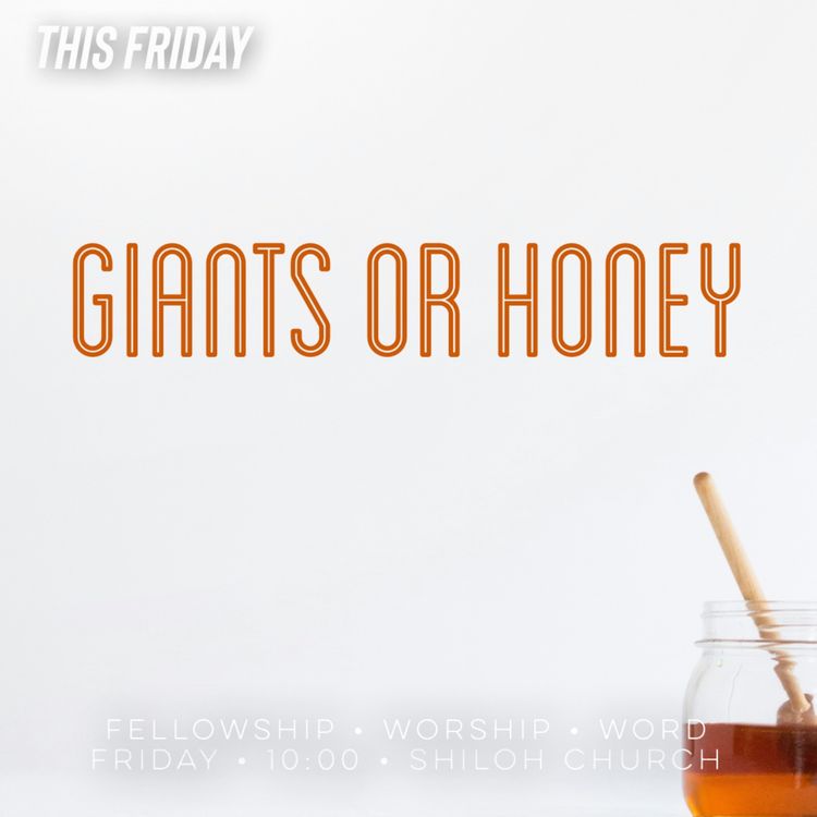 cover art for Giants or Honey (Ray)