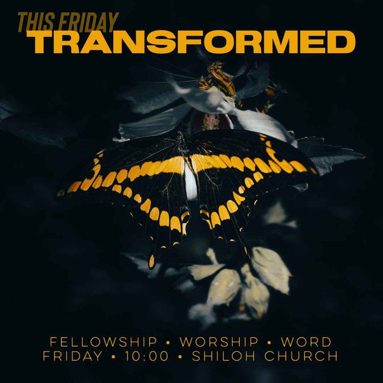 cover art for Transformed (Ray Booysen)