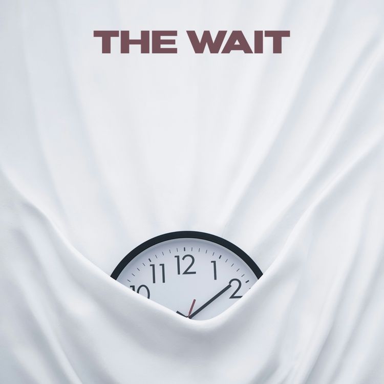 cover art for The Wait (Ray Booysen)