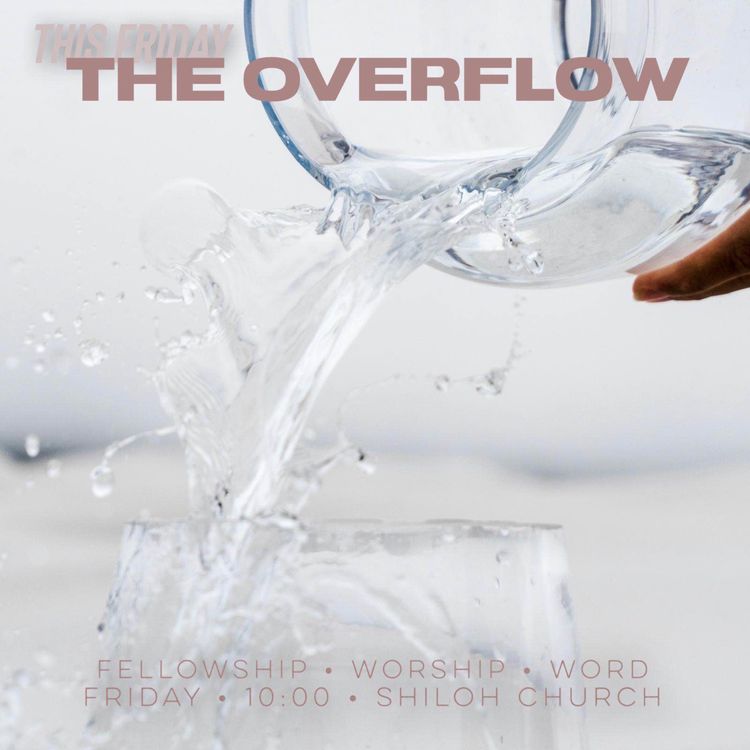cover art for THE OVERFLOW (Ray Booysen)