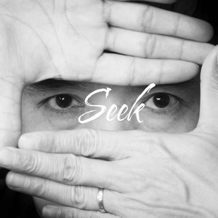 cover art for SEEK (Devlin Zents)