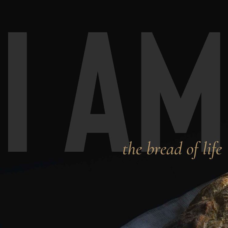 cover art for I AM: The Bread (Johandre Verster)