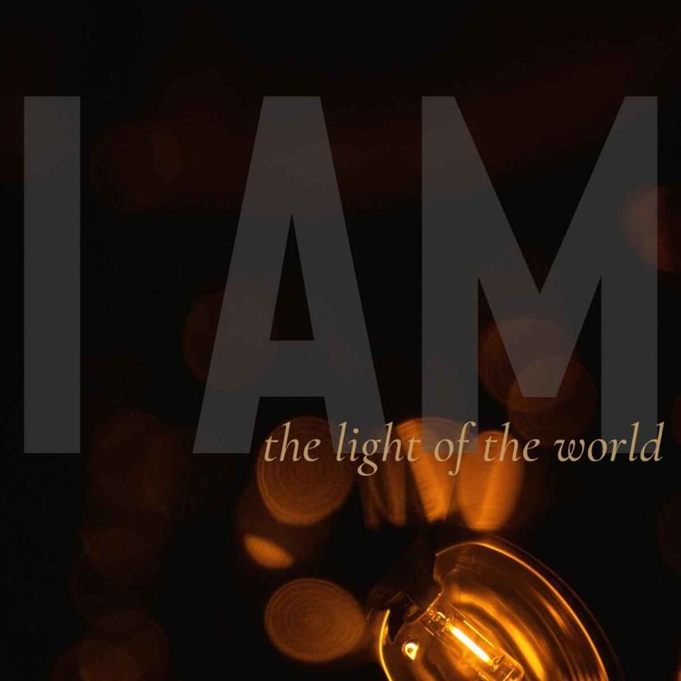cover art for I AM: The Light of the World (Linette Booysen)