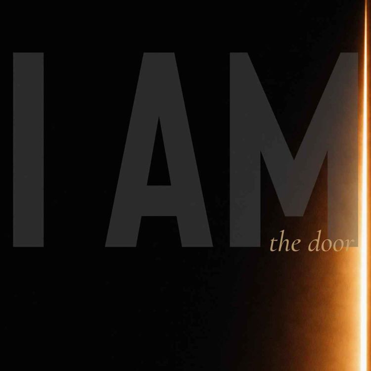 cover art for I AM: The Door (Devlin Zents)