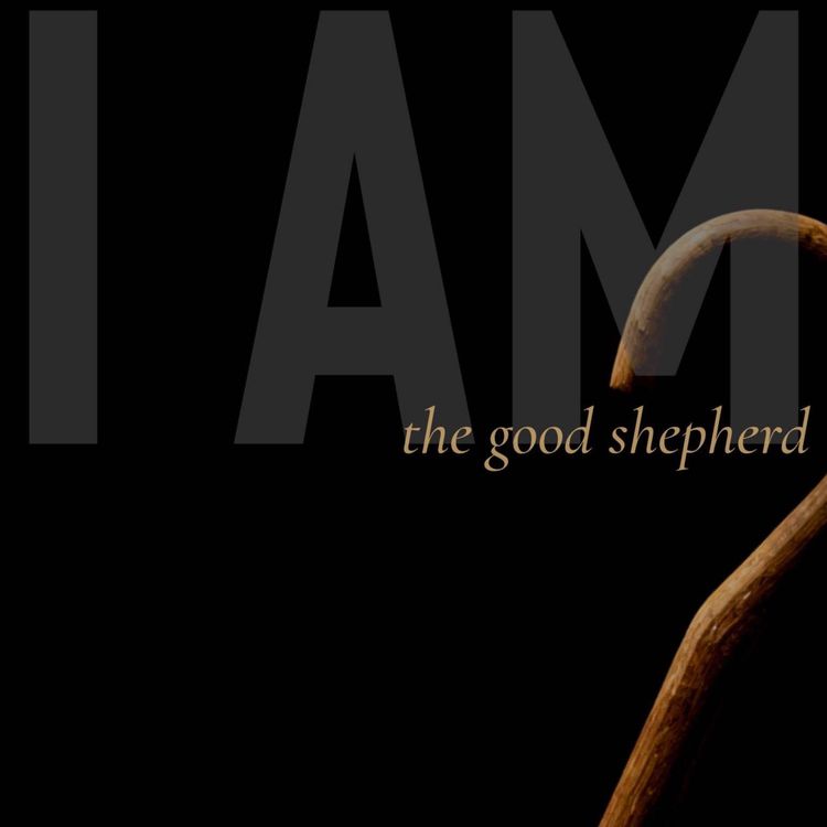 cover art for I AM: The Good Shepherd (Ray Booysen)
