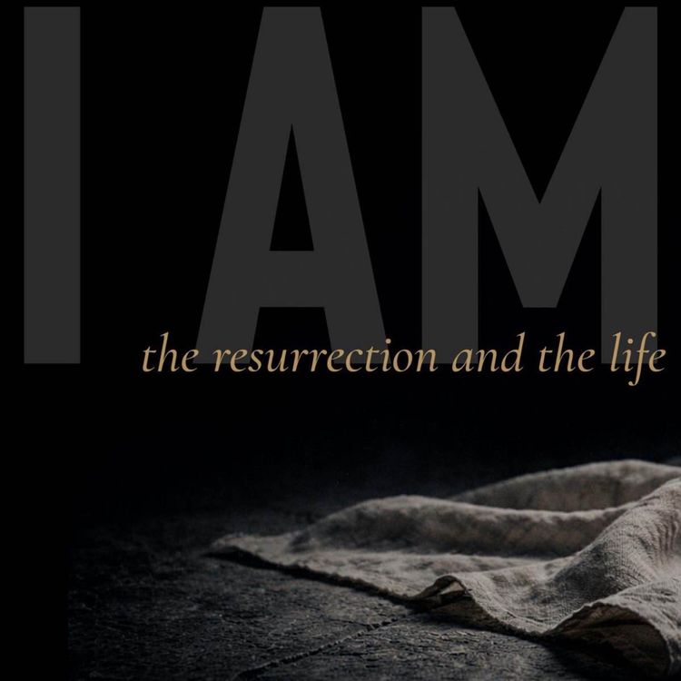 cover art for I AM: The Resurrection And The Life (Ray Booysen)