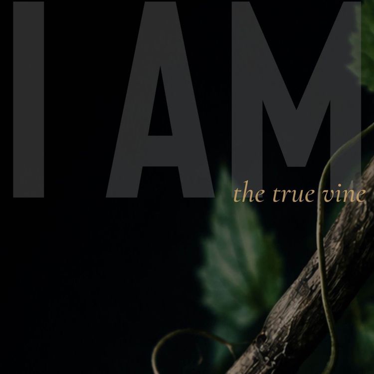 cover art for I AM: the true vine (Ray Booysen)