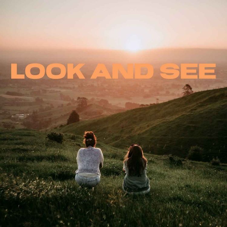 cover art for Look and See (Devlin Zents)