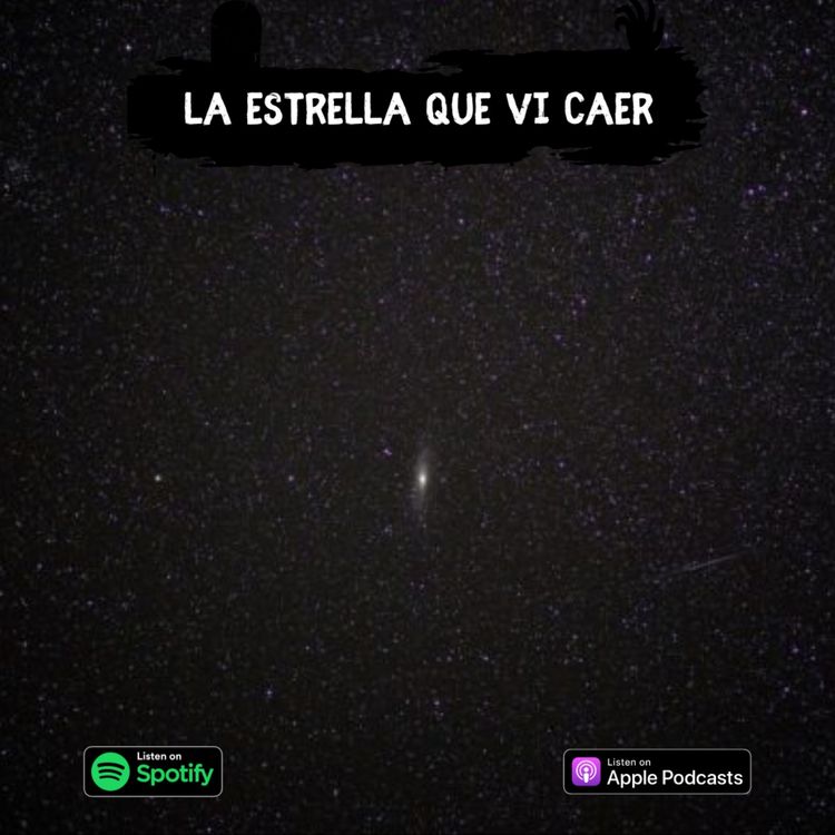 cover art for La estrella que vi caer 