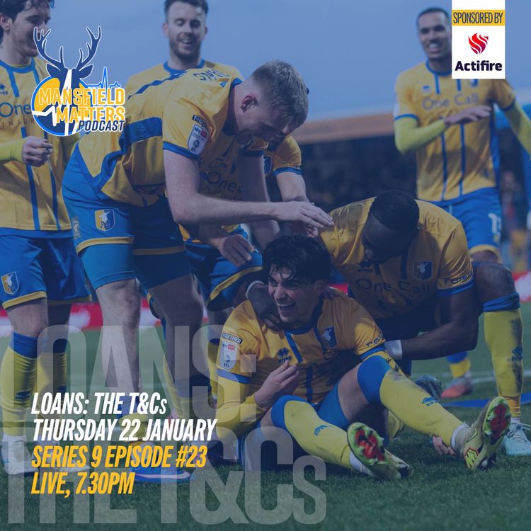 cover art for SE09EP23 Loans: The T&Cs