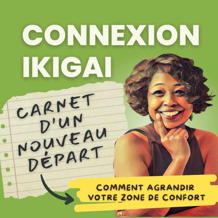 cover art for Changer sans fuir sa zone de confort