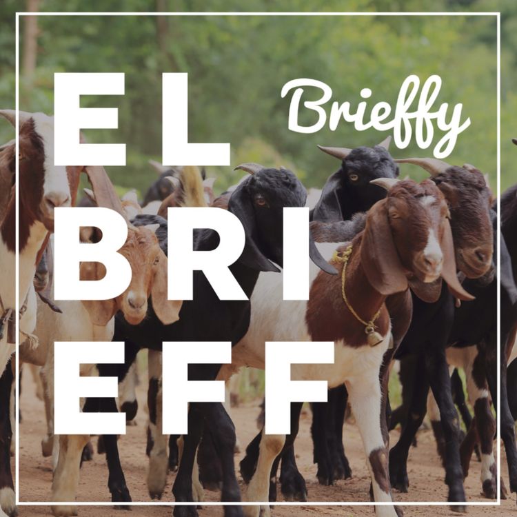 cover art for ¿El tren del cabrito? Las noticias para este lunes