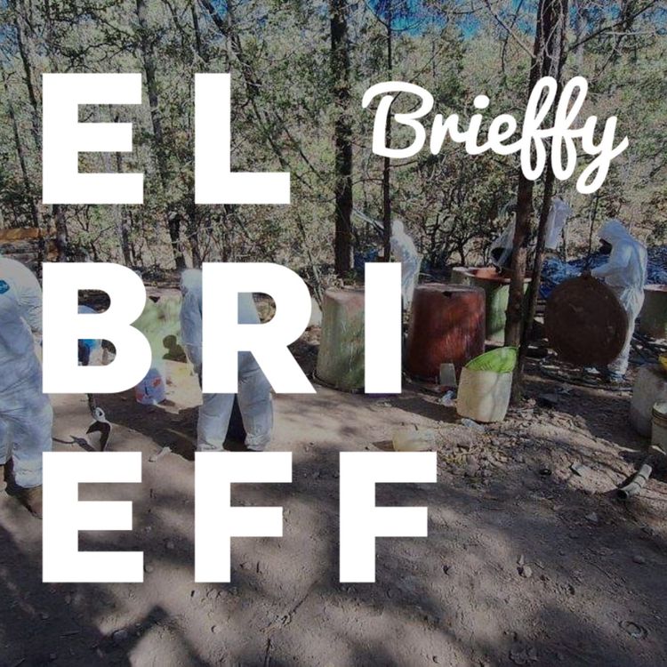 cover art for Cuatro hectáreas de narcolaboratorio: Las noticias para este lunes