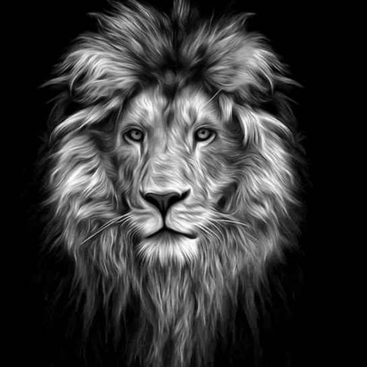 cover art for 8. Tuya, Arslon, Bola zarbumasali || Nitshening Zardushti