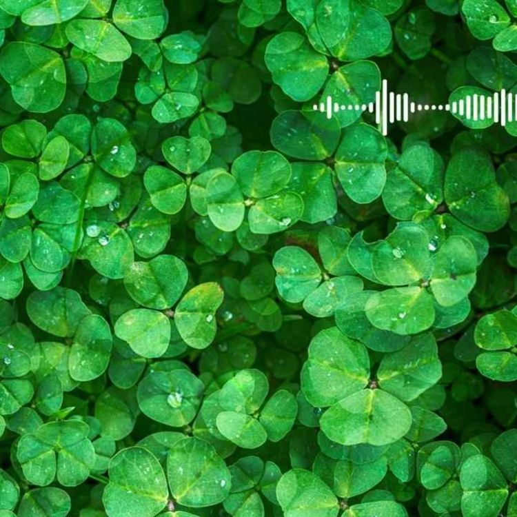 cover art for 29. Bola va nikoh || Nitshening Zardushti