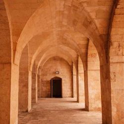 cover art for Nitshening "Zardusht tavallosi" asari haqida podkast