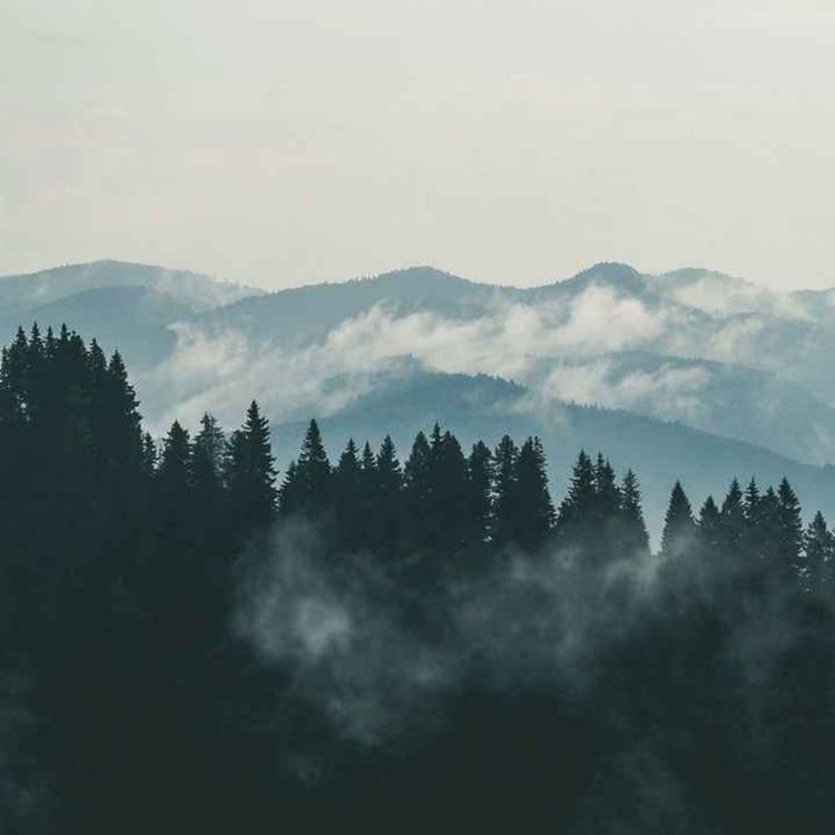 cover art for 42.Mashhur daholar haqida