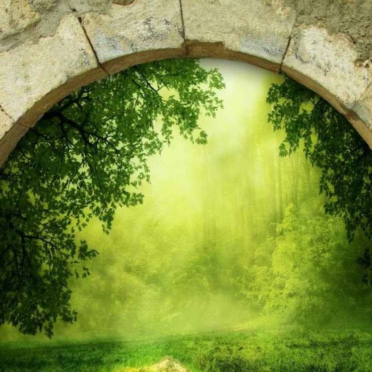 cover art for 44. Raqs qo'shig'i