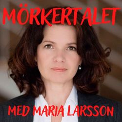 cover art for Mörkertalet