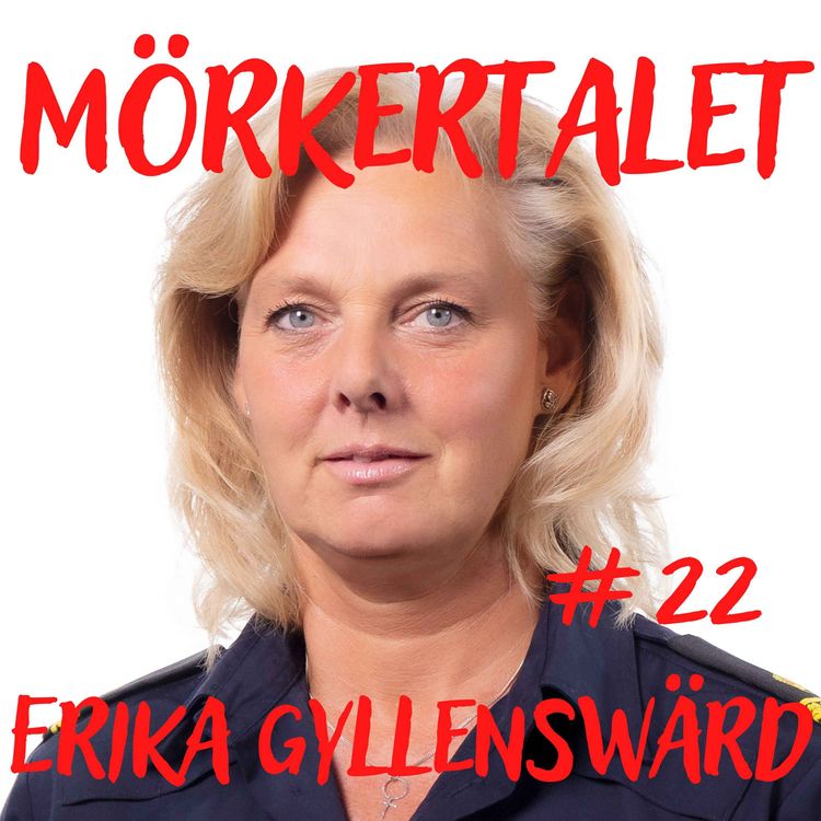 cover art for Nuläge hos Polisen inom brott i nära!