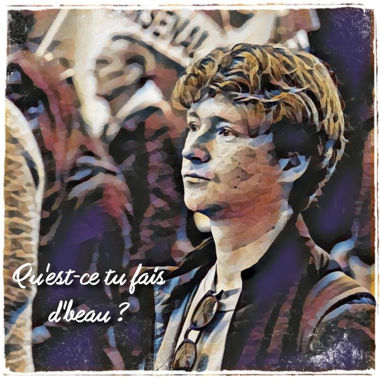 cover art for Erwan, Facilitateur Parlementaire