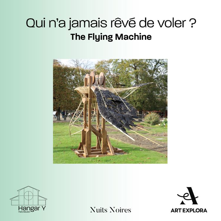cover art for #5 The Flying Machine