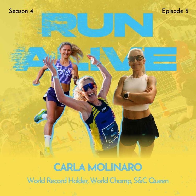 cover art for Carla Molinaro: Adventure-Driven