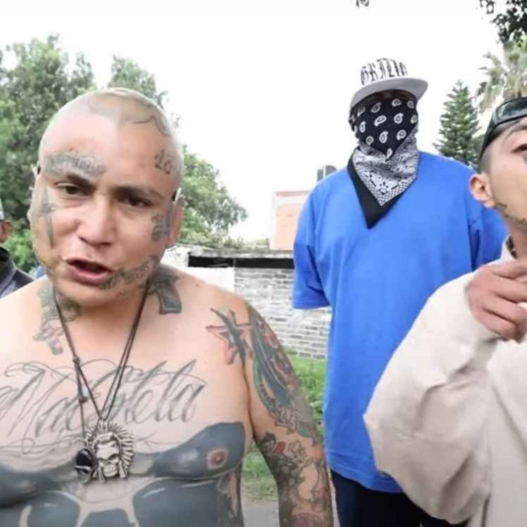 cover art for La musica en la vida