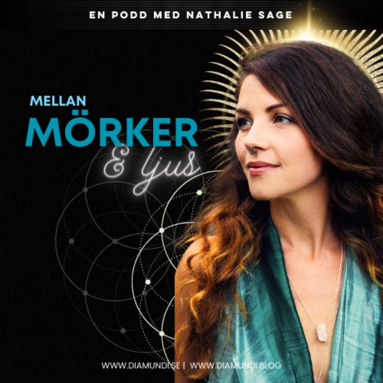 cover art for Introduktion till Skuggarbete