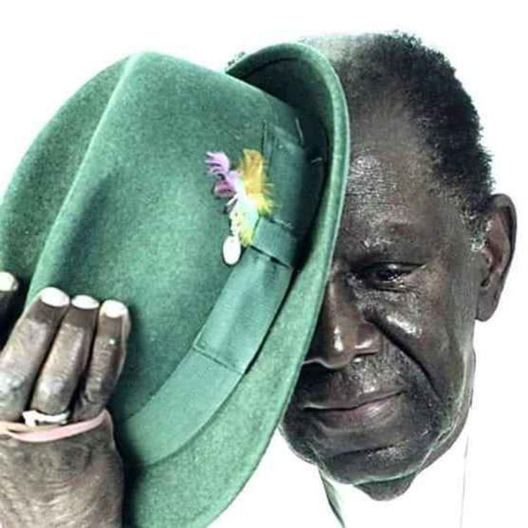 cover art for PAPO EM DIA - Especial Jamelão