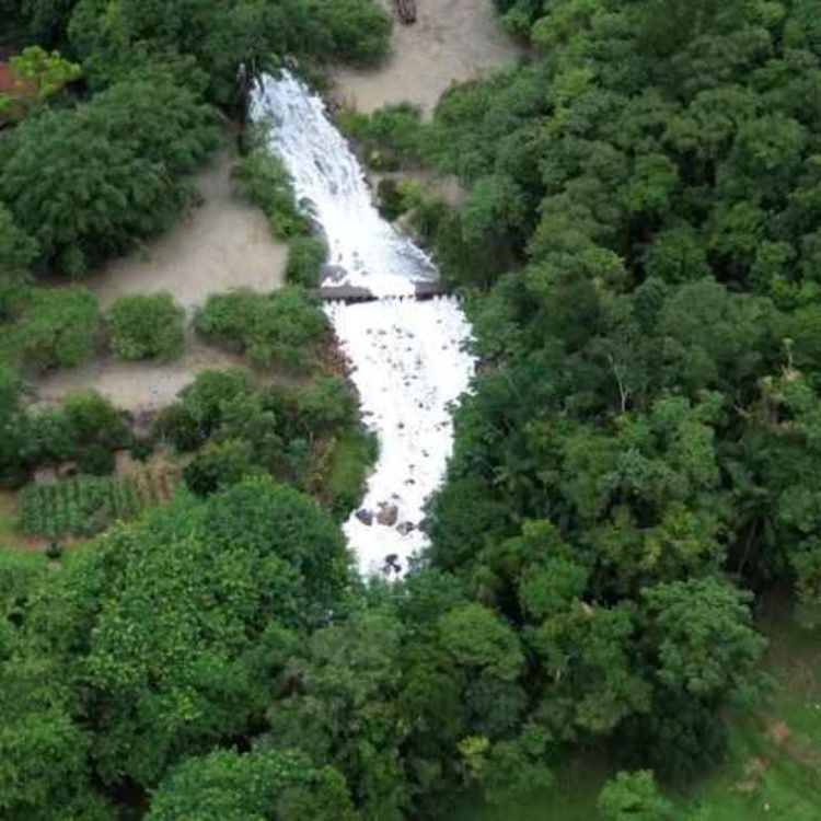 cover art for PAPO EM DIA - Vazamento químico causa espuma em rio e alerta para falta de água em Joinville - Jeferson Corrêa