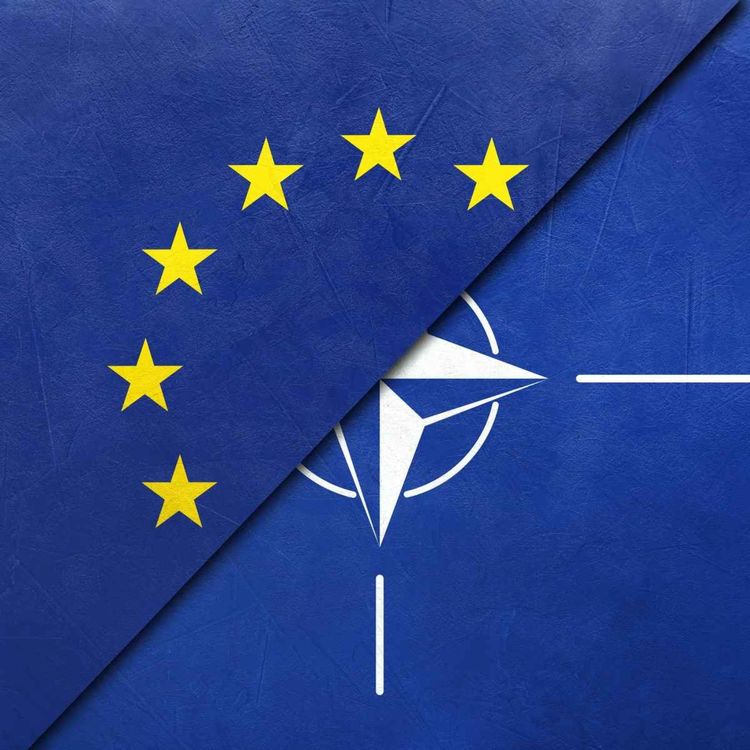 cover art for Može li NATO da preživi Trampa?