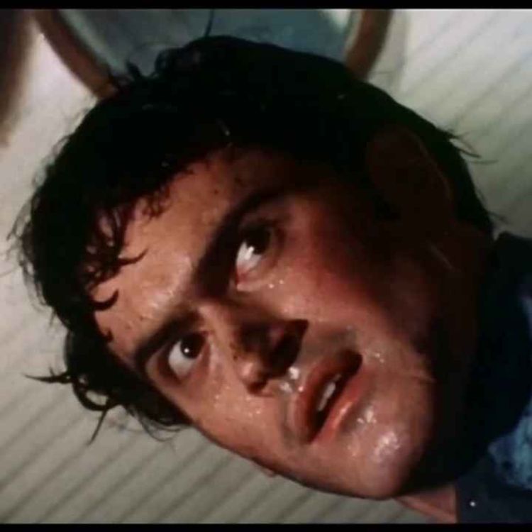 cover art for Evil Dead (1981)