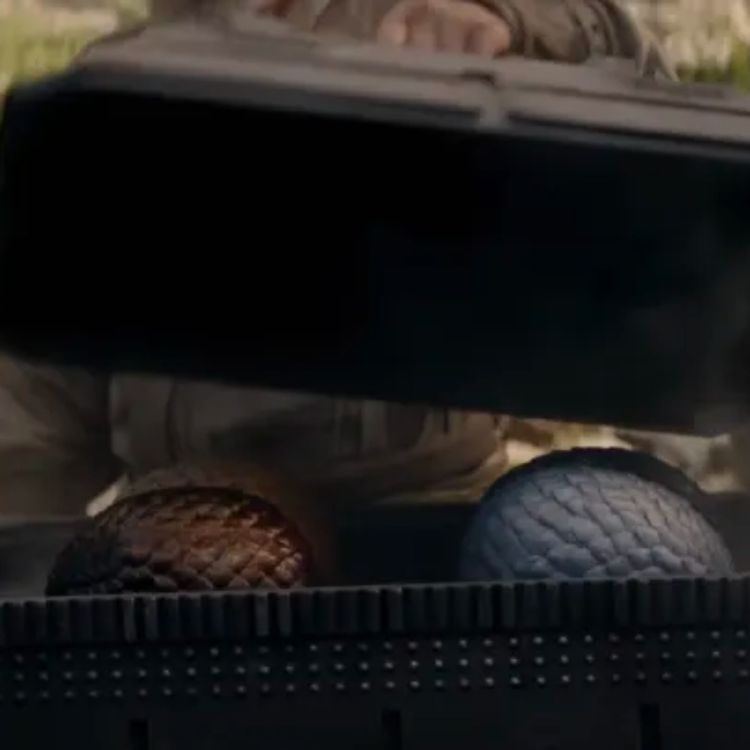 cover art for House of the Dragon - The Burning Mill 