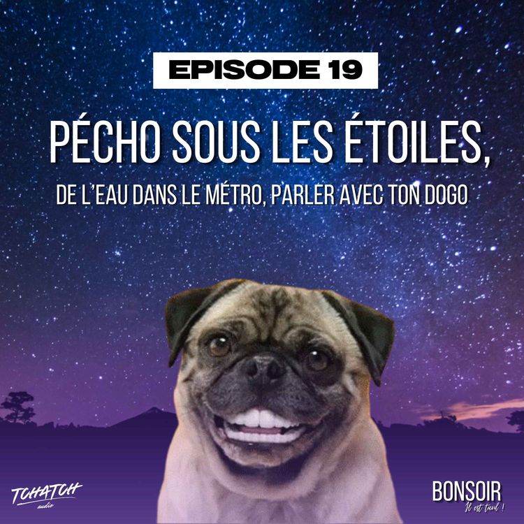 cover art for Episode 19 - Pécho sous les étoiles, de l'eau dans le métro, parler avec ton dogo