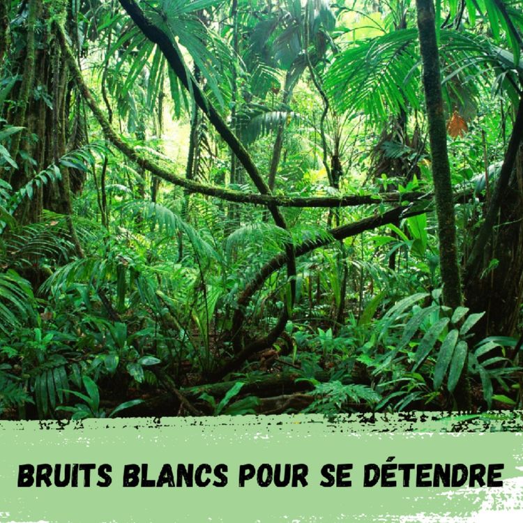 cover art for 2h - Jungle, pluie, oiseaux et tonnerre / 2h - Jungle, rain, birds and thunder