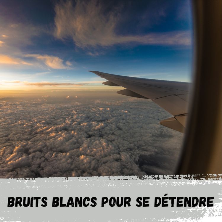 cover art for 2h - Avion de l'intérieur / 2h - Airplane from inside