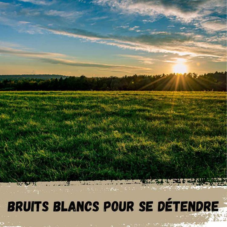cover art for  2h - Grillons en début de soirée / 2h - Crickets in the early evening