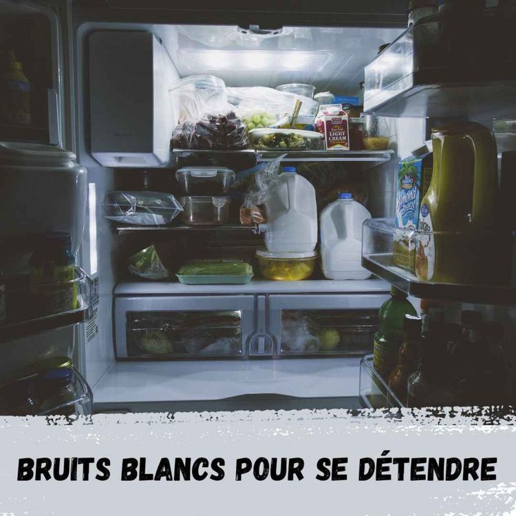 cover art for 2h - Réfrigérateur / 2h - Fridge