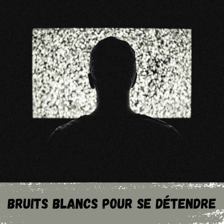 cover art for 2h - Neige à la TV /  2h - Snow on TV