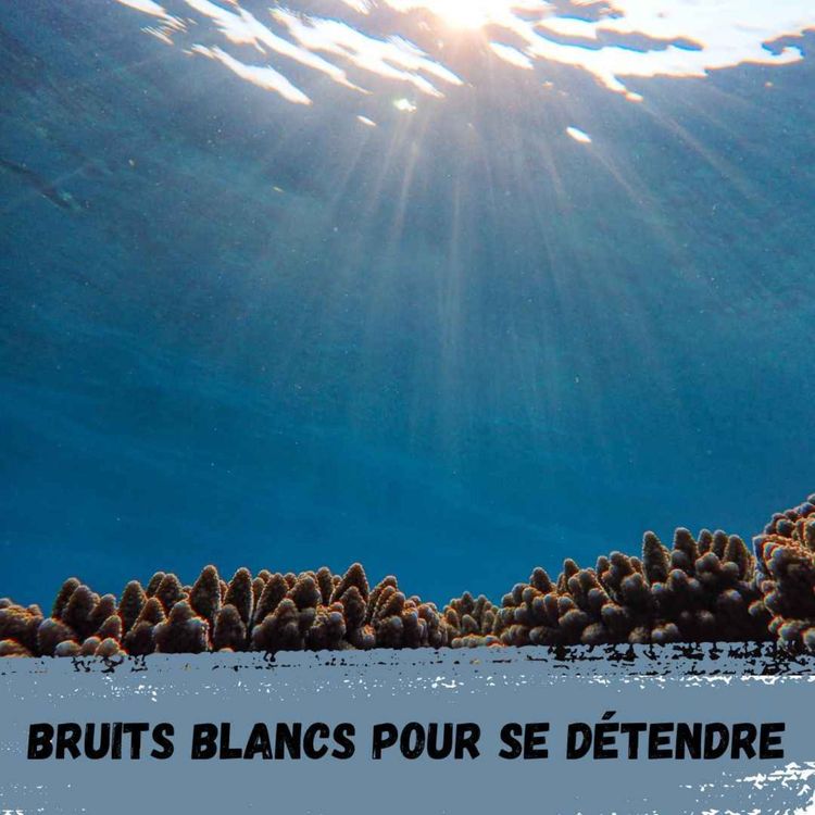 cover art for 2h - Ambiance sous-marine / 2h - Underwater atmosphere