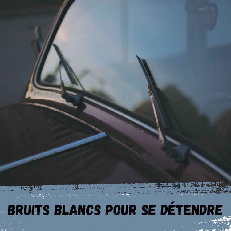 cover art for 2h - Essuie-glaces sous la pluie en voiture / 2h - Wipers in the rain by car