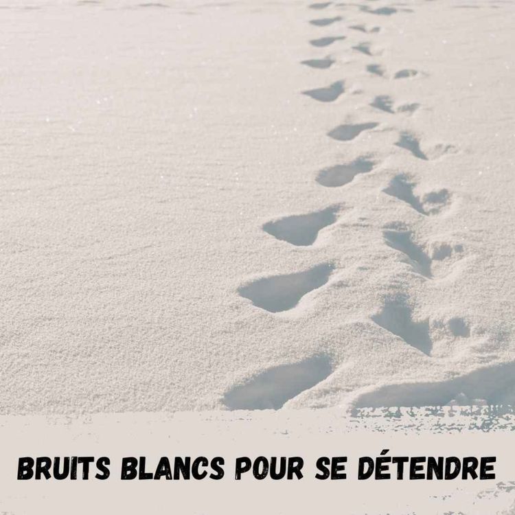 cover art for  2h - Marche dans la neige / Walk in the snow
