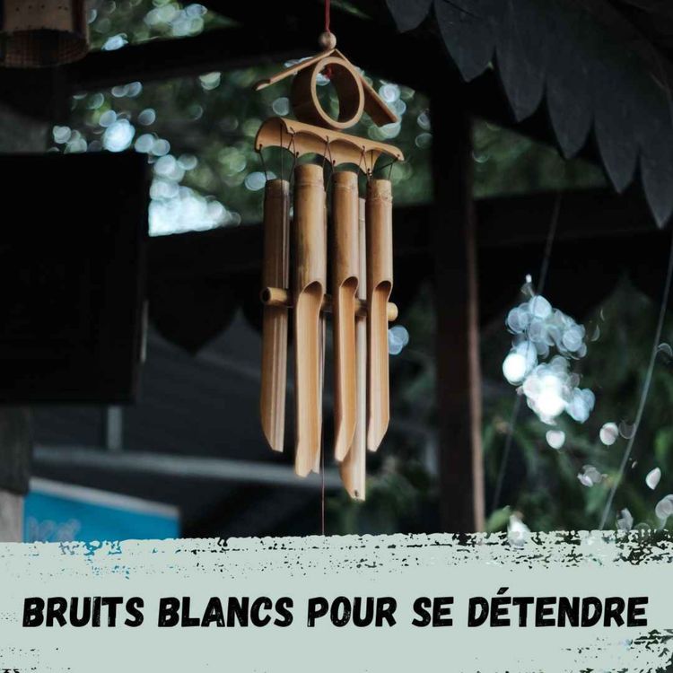 cover art for 2h - Carillon en bambou avec un vent léger / Bamboo chime with light wind